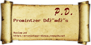Promintzer Dömös névjegykártya